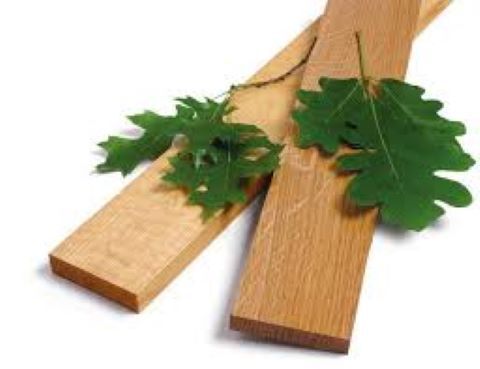 two wooden planks with oak leaves resting on them