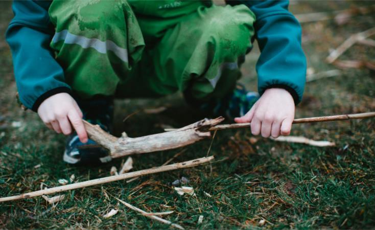 the hands of a child pick up sticks from a forest floor